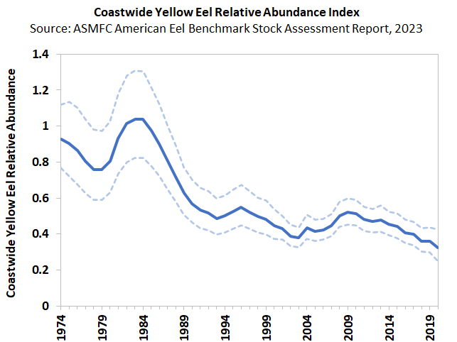 Eel stock status