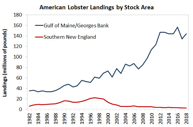 American Lobsters