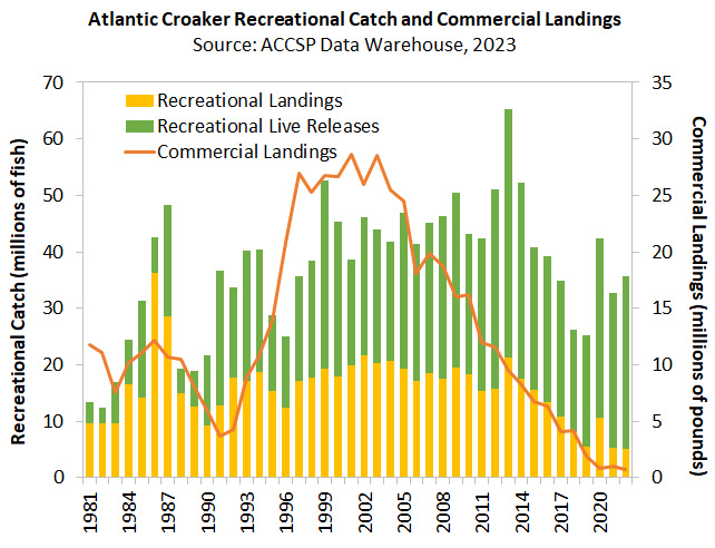 Atlantic Croaker