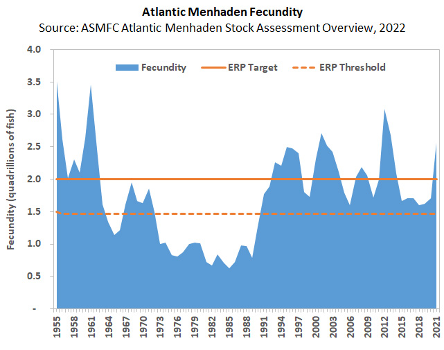 Atlantic Menhaden