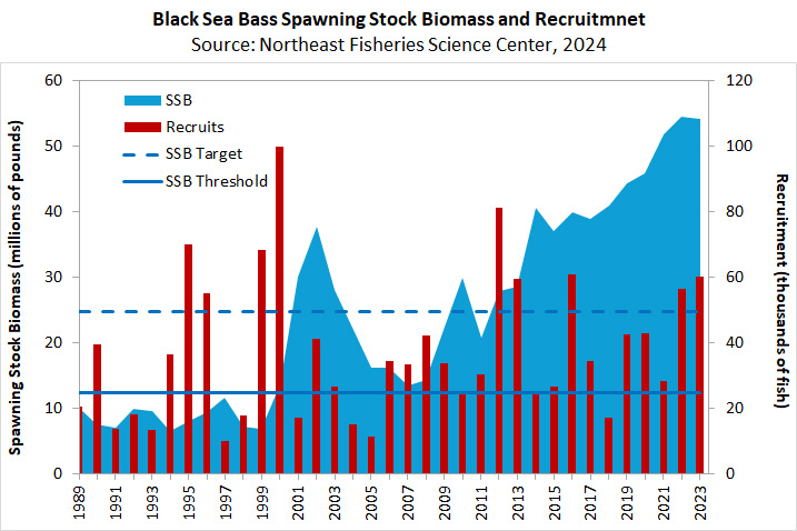 Black Sea Bass