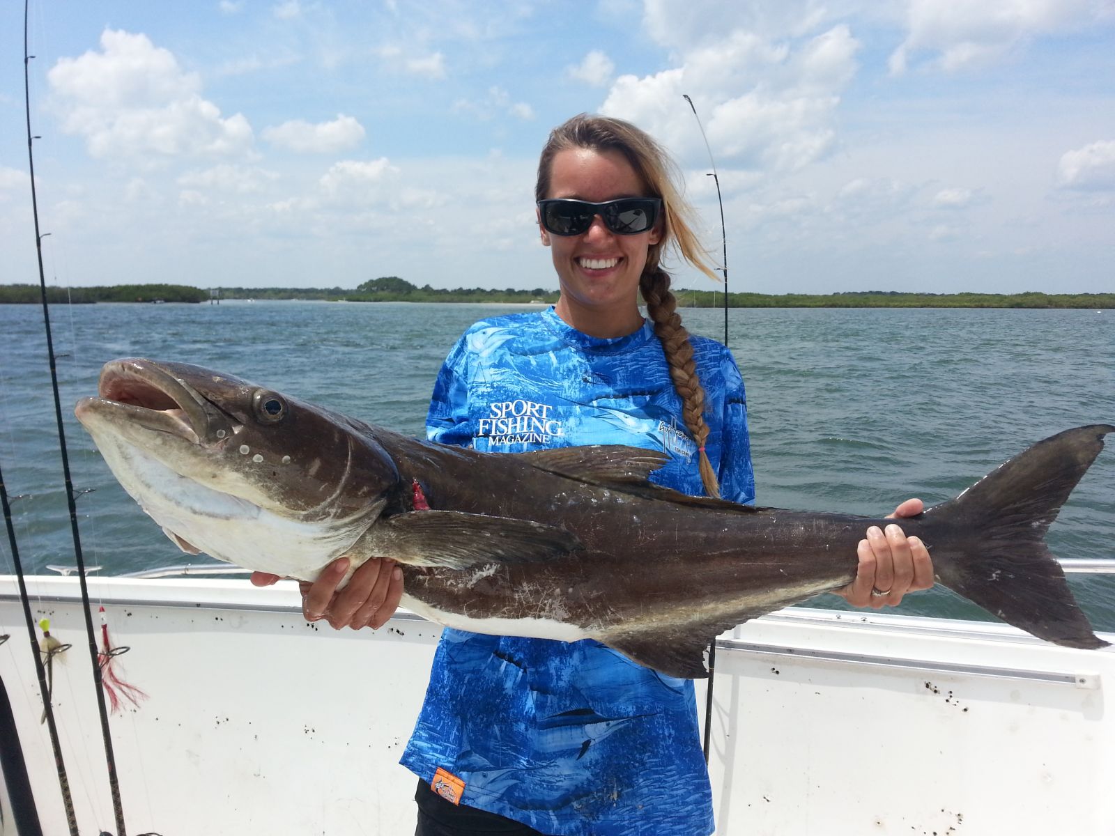 School of menhaden