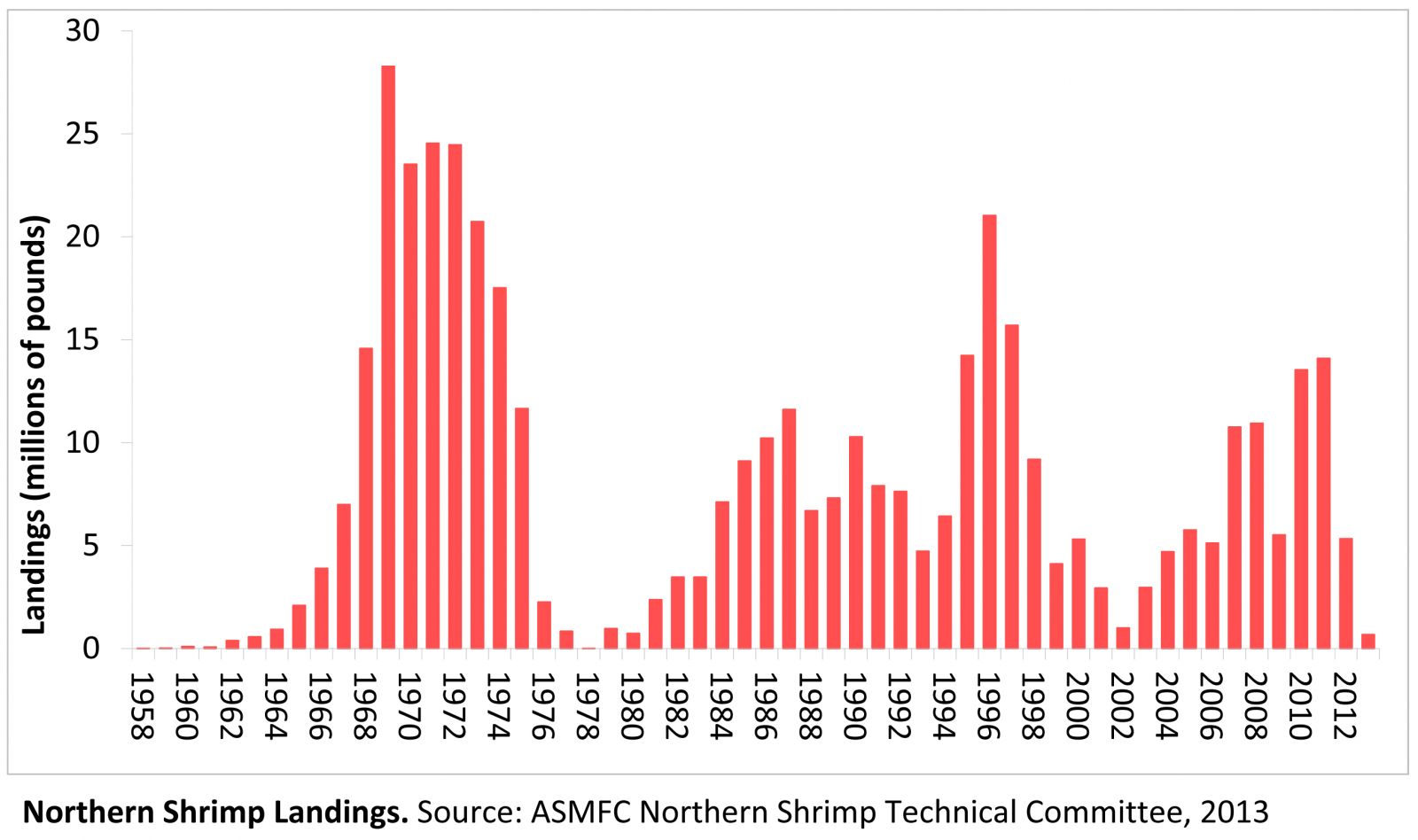 Northern Shrimp