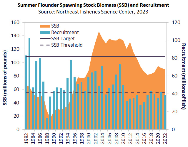 Sumer Flounder