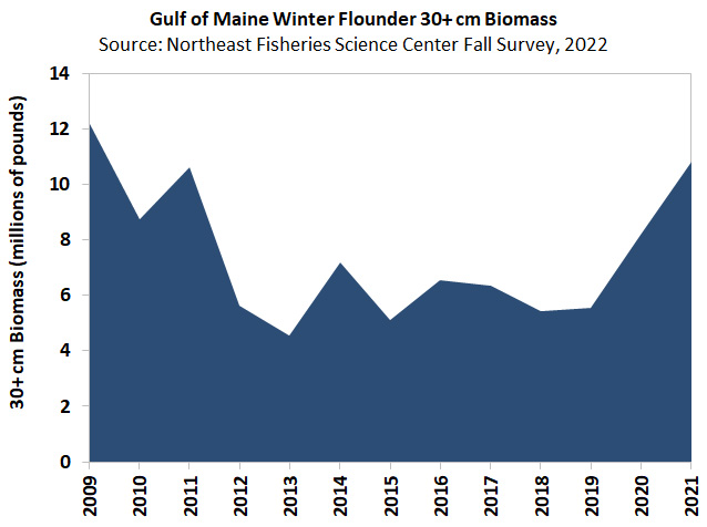 Atlantic Menhaden