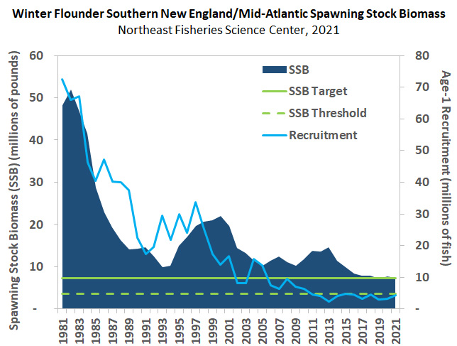 Atlantic Menhaden