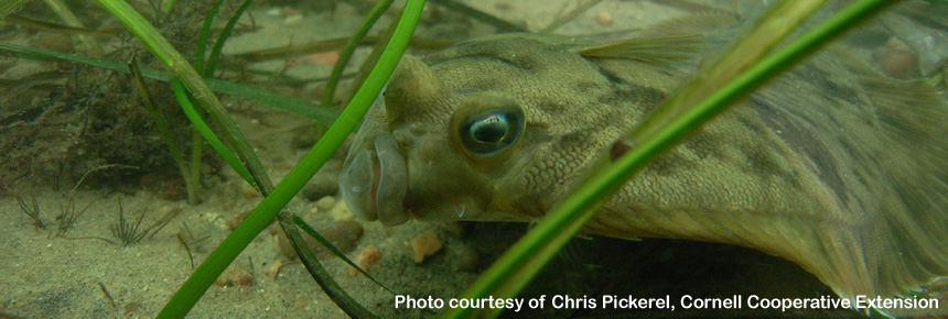 Protecting Fish Habitat Slide 1