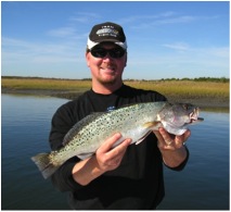 Spotted Seatrout