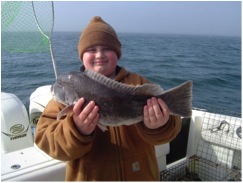 Tautog