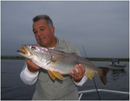 Weakfish